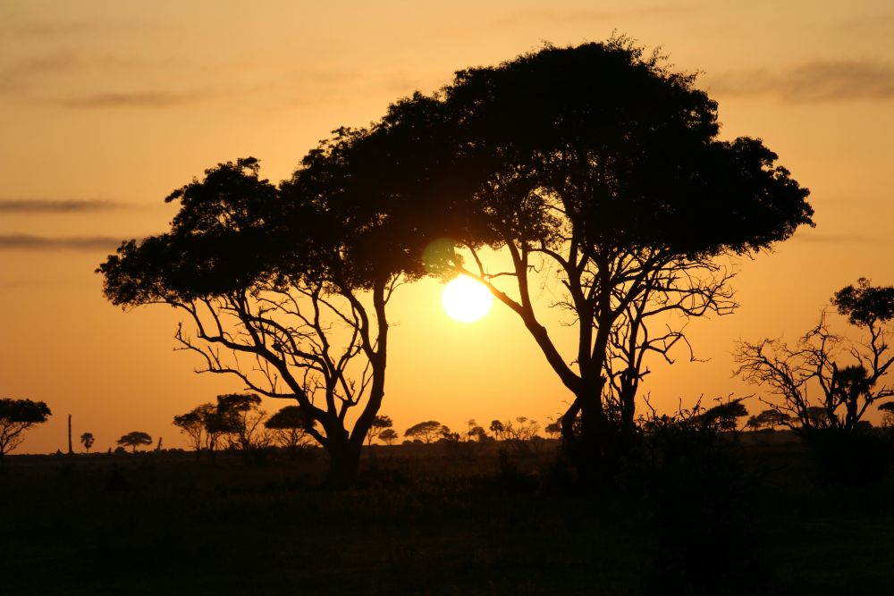 Sunset in the park