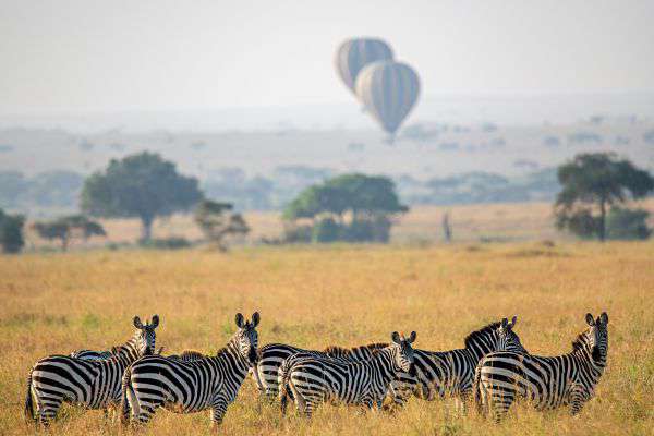 Ballon Safari über der Savanne