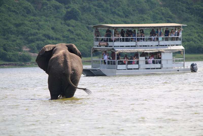 Bootsafari auf dem Kazinga-Kanal