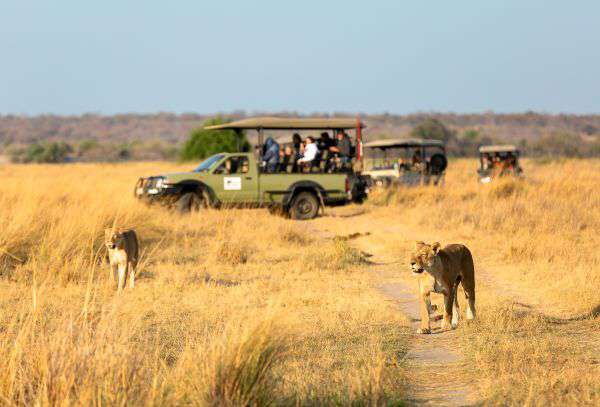 Pirschfahrt im Queen Elizabeth Nationalpark