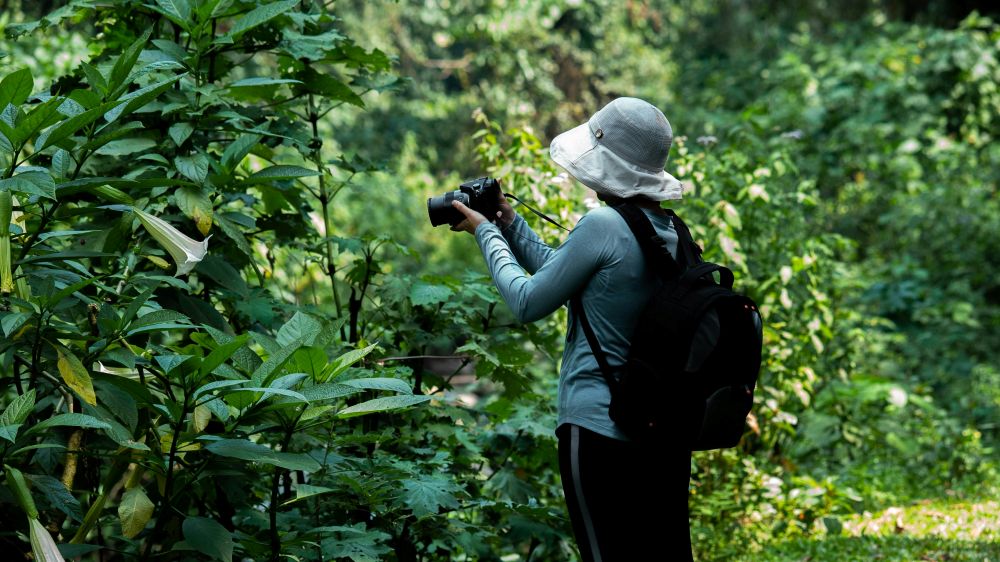 Frau am fotografieren